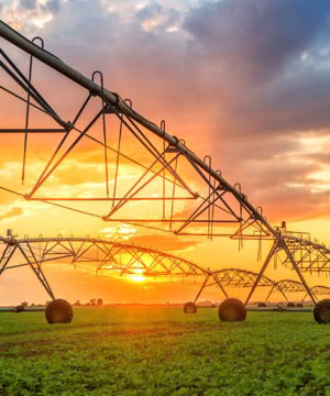 irrigation